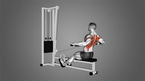 Wide Grip Cable Rows: Benefits, Muscles Worked, and More - Inspire US