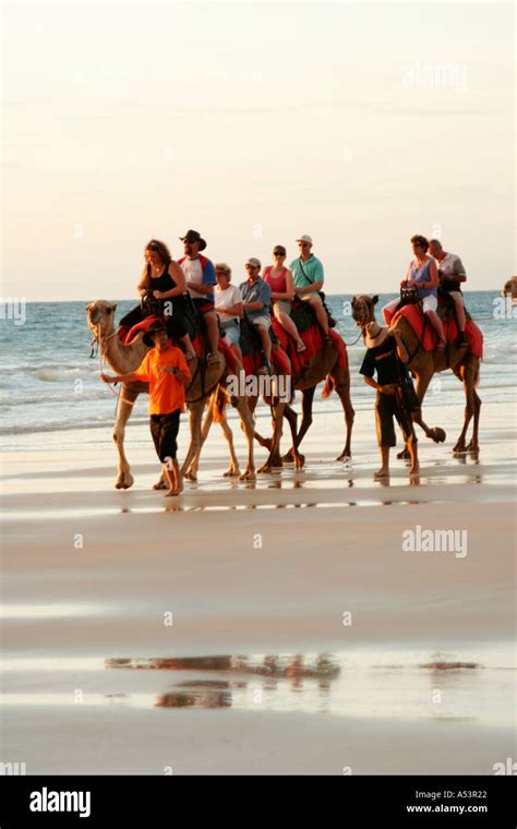 Camel rides on Cable Beach in Broome Western Australia Stock Photo - Alamy