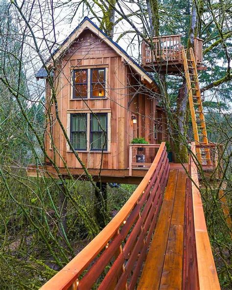 Would You Live In These Treehouse Cabins? | Beautiful tree houses, Tree ...