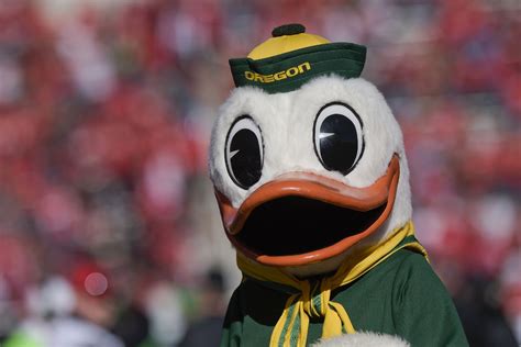 Oregon's duck mascot isn't named 'Puddles,' but that's an excellent ...