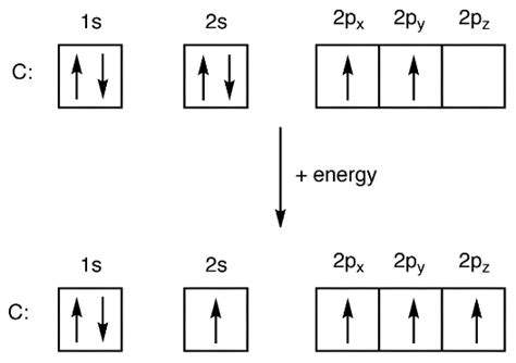 Write the ground state electron configuration for a neutral carbon atom ...