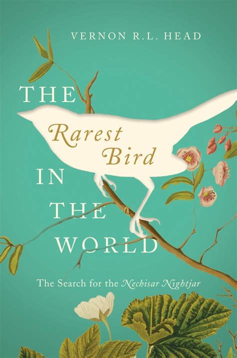 New Book: The Rarest Bird in the World: The Search for the Nechisar ...