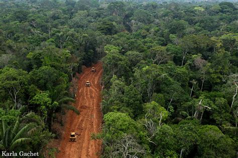 Oil company breaks agreement, builds big roads in Yasuni rainforest ...