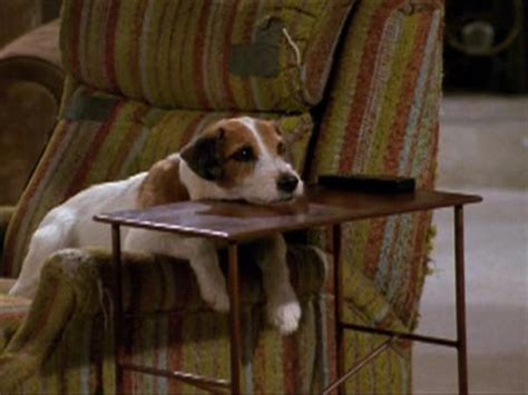 Who Owned Eddie The Dog On Frasier: Unraveling The Mystery