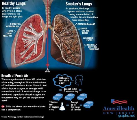 Lungs of a Smoker vs. Non Smoker - Infographics | Graphs.net