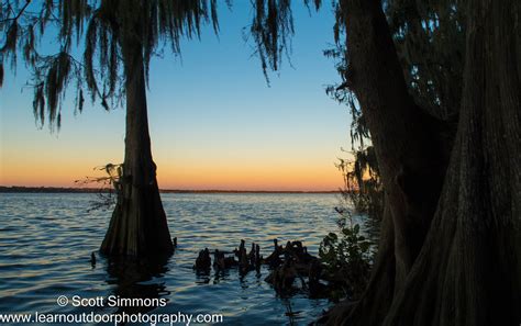 Sunset over Lake Jesup | Central Winds Park | Scott Simmons | Flickr