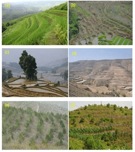 Examples of diverse terracing types. (Note: terracing can be classified ...