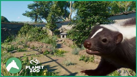 Striped Skunk Habitat | Elm Hill City Zoo | Planet Zoo - YouTube