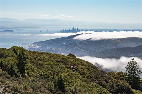 Hiking in Mount Tamalpais State Park - Salvatore Ventura