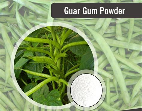 Applications of Guar Gum Powder in Paper Industry