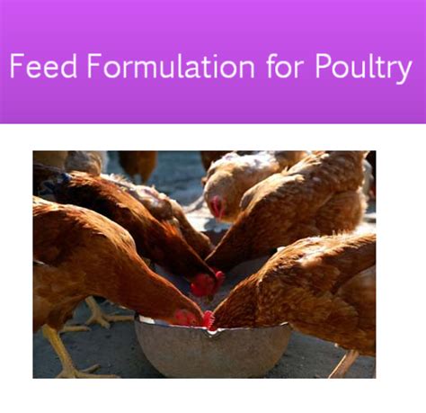 Poultry Feed Formulation Methods For Broiler And Layer