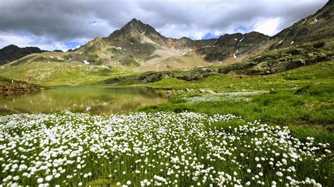 Stelvio National Park, Lombardia, Italy - Free Nature Pictures