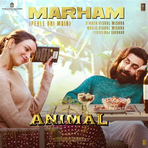 ‎Marham (Pehle Bhi Main) [From "ANIMAL"] - Single - Album by Vishal ...