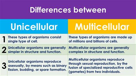 13 Important Similarities Between Unicellular And, 60% OFF