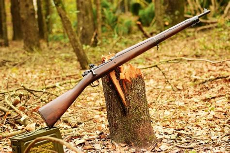 7 Military Surplus Guns Every American Should Own | OutdoorHub