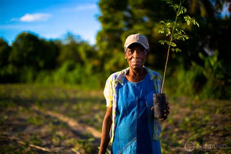 One Tree Planted — Zeppelin Coffee Company