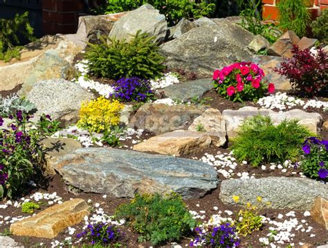 Plants For Rockery: Selection By Color And Timing Of Flowering - Best ...