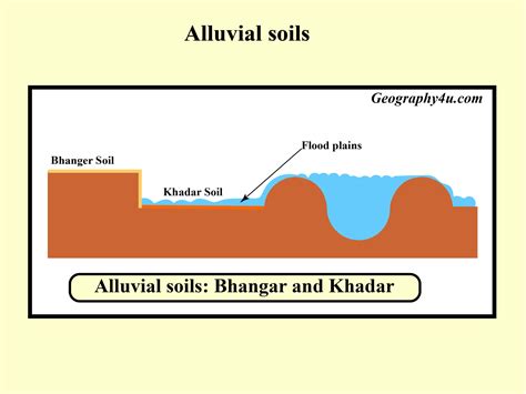 Alluvial Soil Deposits