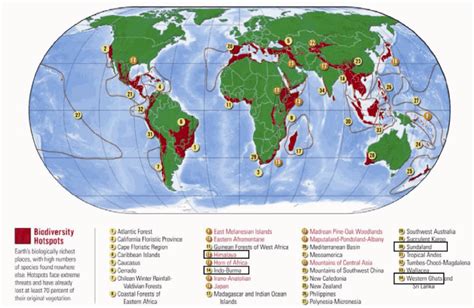 Diagram Of A Hotspot On Earth