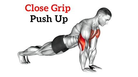 Push Up Muscles Worked