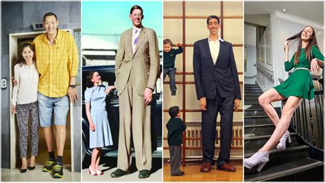 A history of record-breaking giants 100 years after the tallest man ...