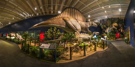 Sneak peek inside Dinosaur Discovery: Lost Creatures of the Cretaceous ...