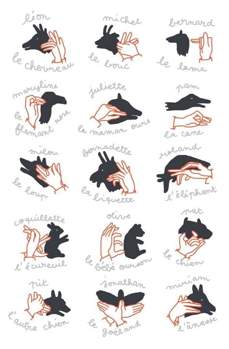 Pin by Anna on Idee bimbi | Hand shadows, Shadow puppets with hands ...