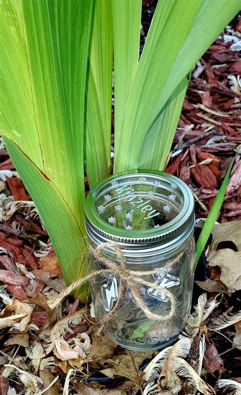 Bug Catcher Disc/Jar Personalized. Acrylic. | Etsy