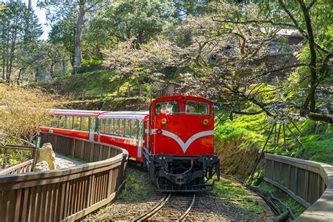 Alishan, Taiwan: A Super Detailed 2023 Guide - Spiritual Travels