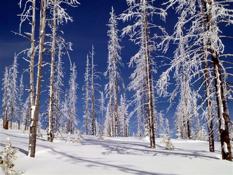 Idaho and Montana border : EarthPorn