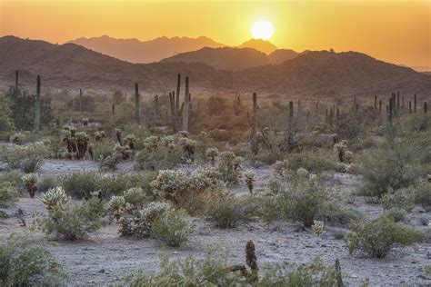 Sonoran Desert National Monument | Flickr