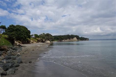 8 Things to Do in Whangaparaoa That You Shouldn't Miss