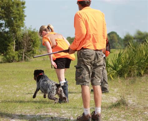 Florida Palmetto NAVHDA – Versatile Hunting Dog Training