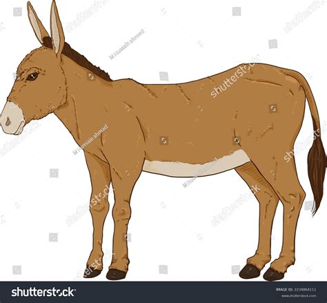 Cartoon Brown Donkey Vector Hand Drawn Stock Vector (Royalty Free ...