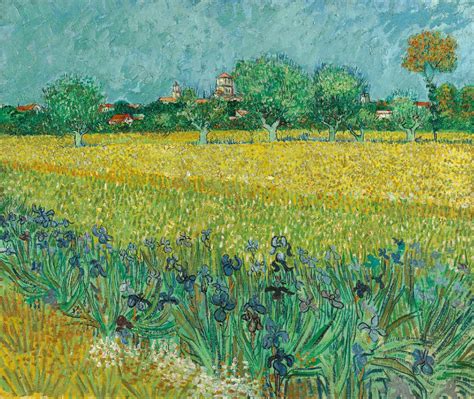 Vincent van Gogh - Field with Irises near Arles - Van Gogh Museum