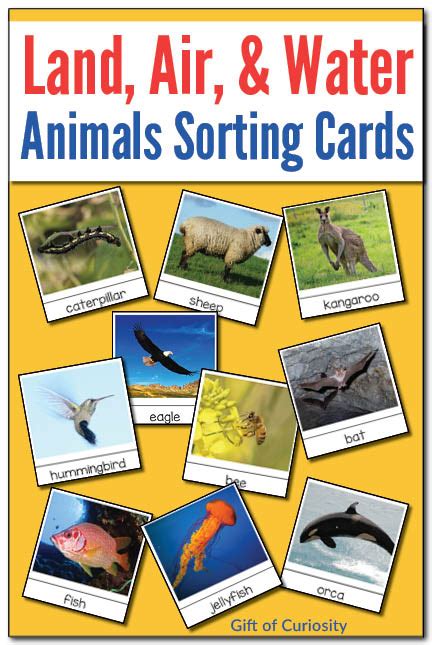 Sorting animals that live on land, air, and water {Montessori printable ...