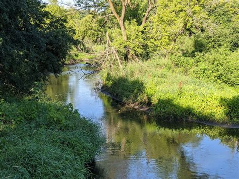 Aquarius Systems: River Plants Mitigate Flooding