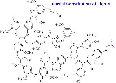 Plastic Polymer Structure