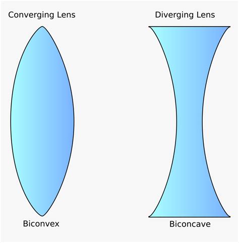 Top 95+ Wallpaper Label The Parts Of A Concave Lens. Completed