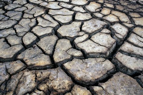 Cracked earth - Stock Image - E147/0141 - Science Photo Library