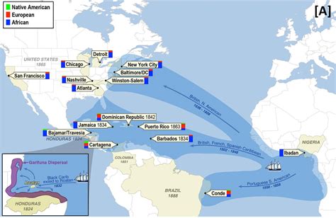 Scientists map genome of African diaspora in the Americas