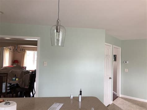 Livable Green Sherwin Williams | Liveable green sherwin williams, Home ...