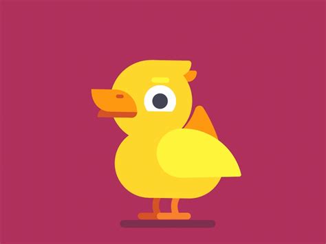 Cute Ducks Gif