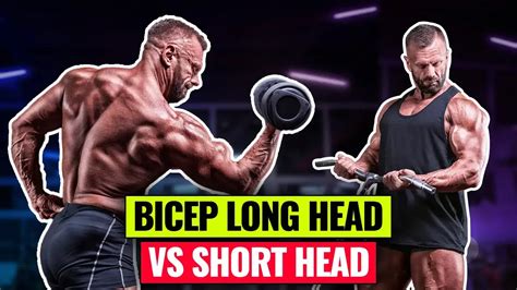 6 Bicep Long Head Vs Short Head Exercises For Intense Arm Growth