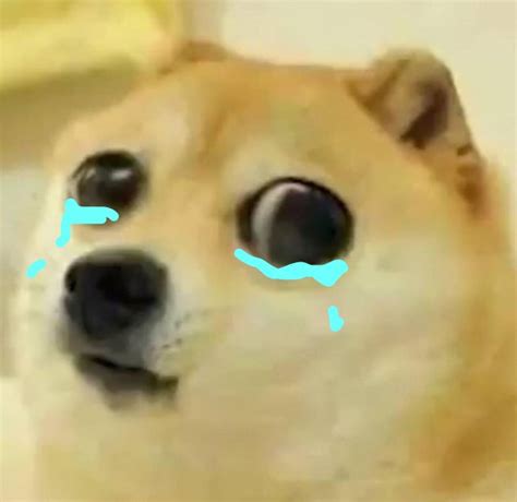 big eyes crying doge Blank Template - Imgflip