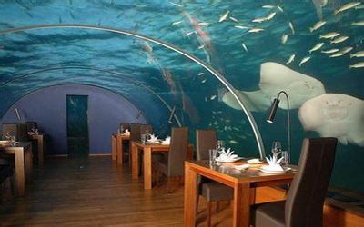 Hilton Maldives Underwater Restaurant » Funny, Bizarre, Amazing ...