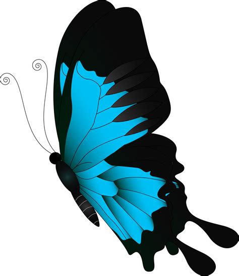 Download High Quality Butterfly Clipart Animation Transparent Png ...