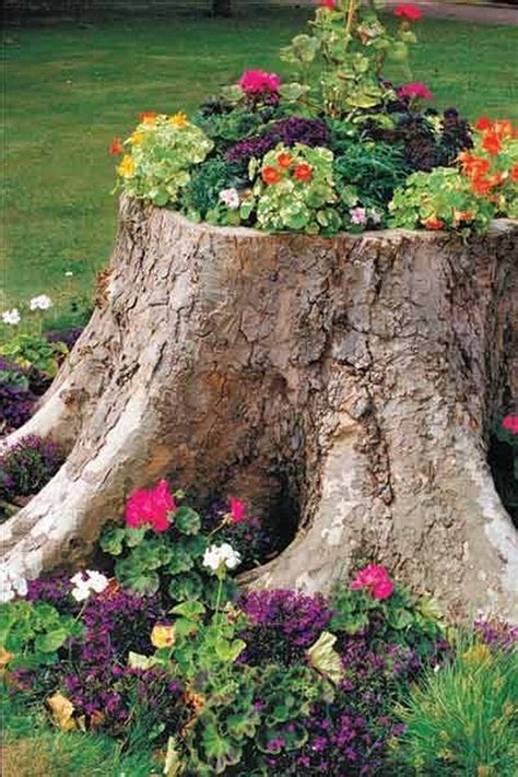 Beautiful Tree Stump Planter: Sustainable 8-Step Gardening