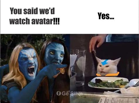 watching Avatar | Woman Yelling at a Cat | Know Your Meme