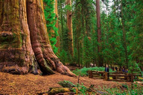 California's National Parks - North to South